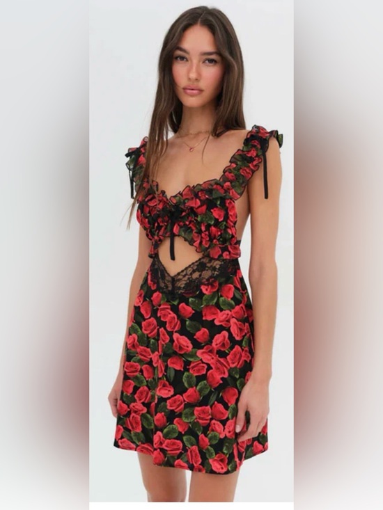 For Love And Lemons Dresses & Skirts - For Love and Lemons Varvera Mini Dress Red Rose Print Cutout Dress medium $219